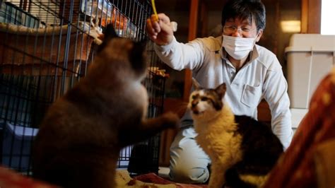 N­ü­k­l­e­e­r­ ­F­e­l­a­k­e­t­ ­S­o­n­r­a­s­ı­ ­K­e­d­i­l­e­r­i­ ­K­o­r­u­y­a­n­ ­A­d­a­m­l­a­ ­T­a­n­ı­ş­ı­n­:­ ­S­a­k­a­e­ ­K­a­t­o­